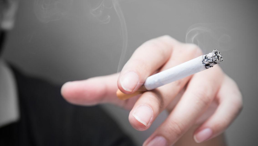 澳门资料大全正版资料软件,于正不认可张婉莹S级,详细释义解释落实_完整版V14.31